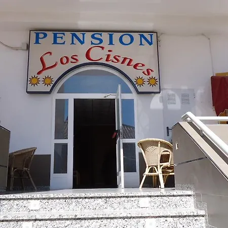 Pension Los Cisnes-2